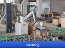 robot palletizerend of line packaging equipment