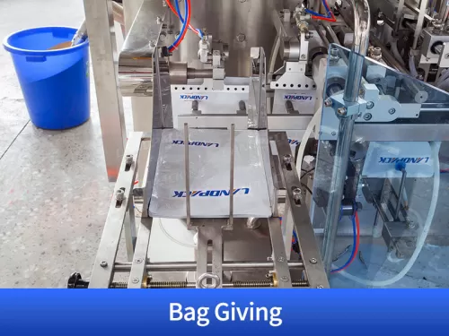 case packing system