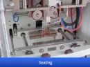 peanut packaging machine