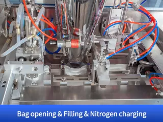 dry fruit vacuum packing machine