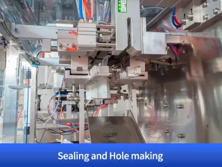 vacuum packing machine for dry fruit