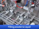 spout pouch filling machine price