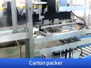 packing system