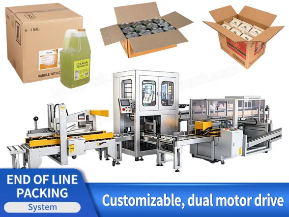 case packing robot