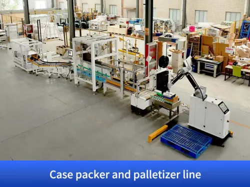 case packing robot