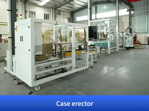 robot case packer