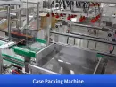 case packing robot