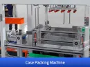 robot case packer