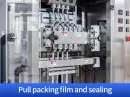 tea powder packing machine price