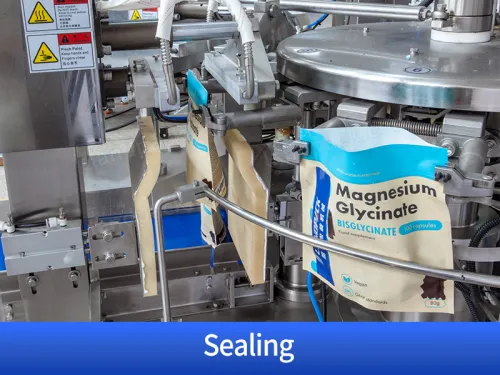 stand up pouch packaging machine