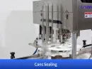 milk powder filling packing machine