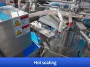 stand up pouch packaging machine