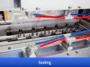 automatic shampoo sachet packing machine